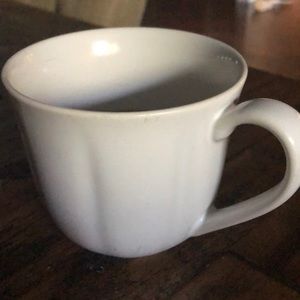 Meet your Posher, Teddy